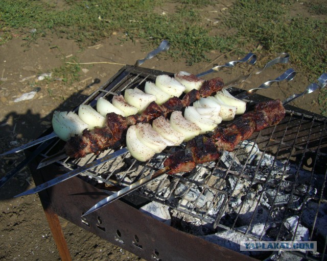 Дача, рукоделие и шашлыки