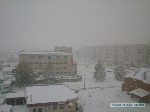 День шиномонтажника в Самаре!