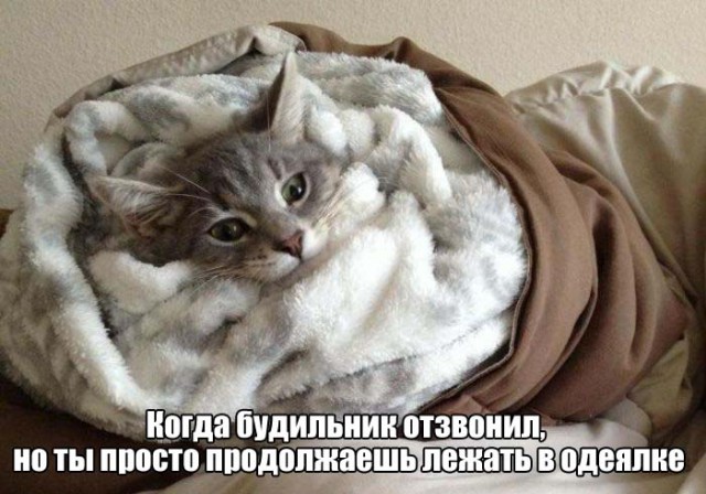 Фото всякое разное