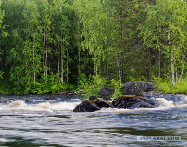 Карелия. Белое море. Немного о рыбалке.