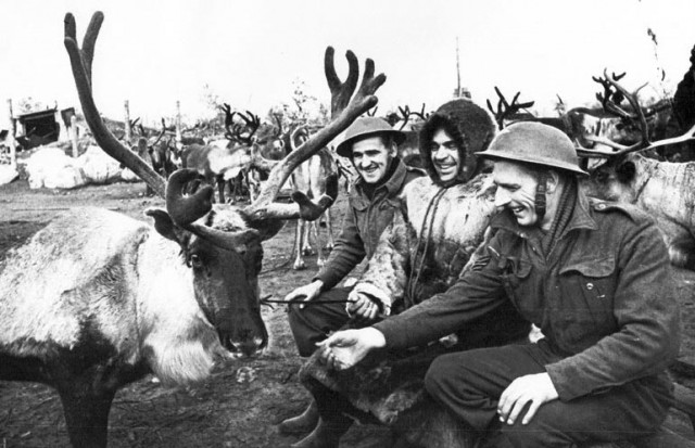 Фотографии к "Нахальному минированию" и "Лехе"
