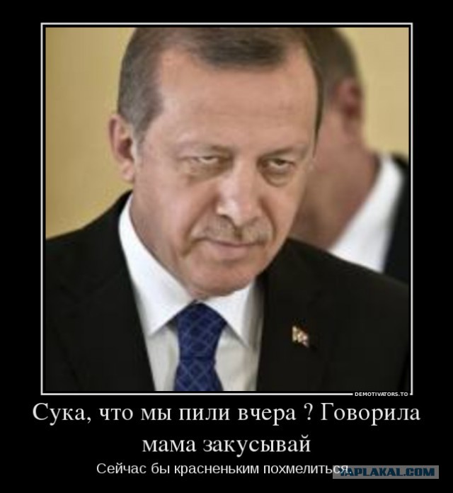 Пожабим Эрдогана?
