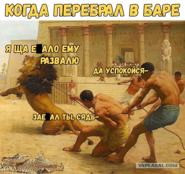 Приколюхи в стиле "Когда..."