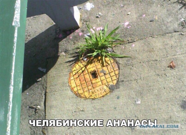 Минутка лёгкой наркомании и деградации