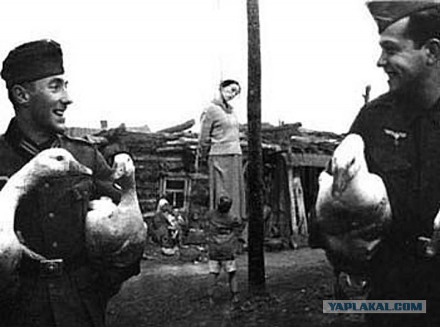История одной фотографии: Тигры 2./s.Pz.Abt. 503 в с.Беломестном и на трассе M2 в середине июля 1943