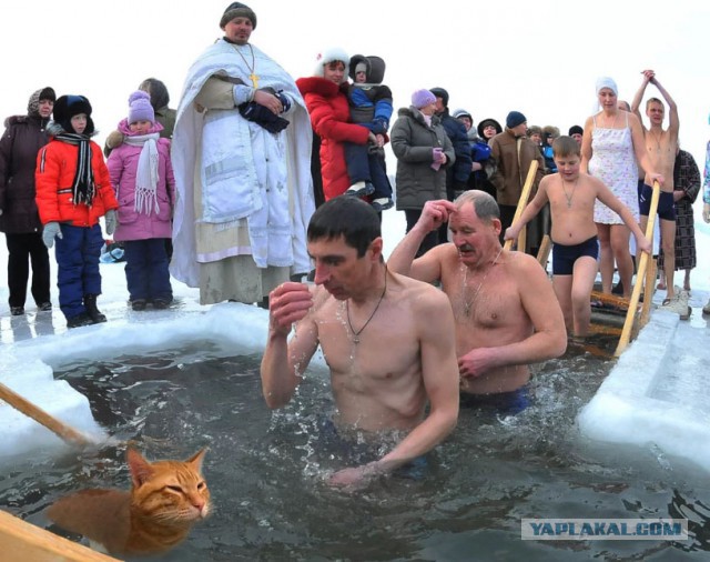 Фотожабы: кот в ванной