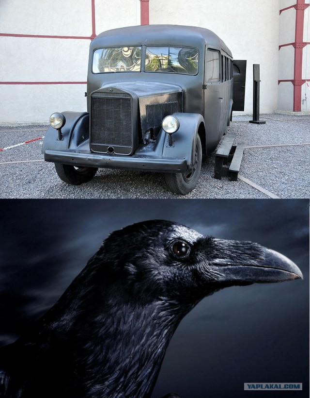 Клички у автомобилей