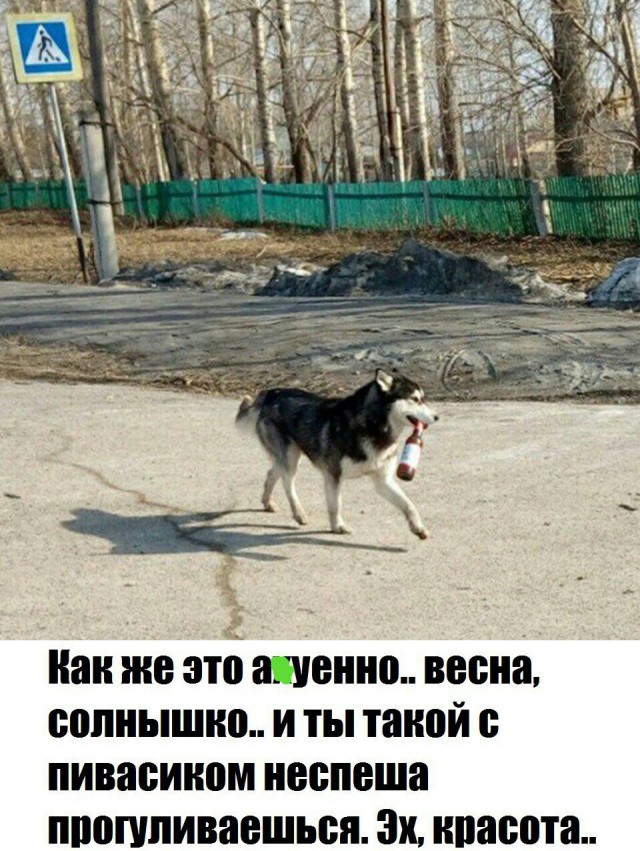 Алкоюмор 3.0