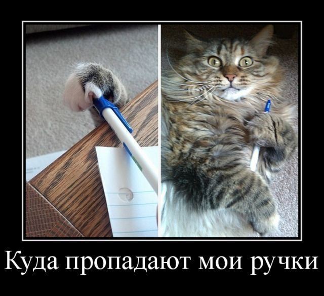 Демотиваторов и картинок всяких