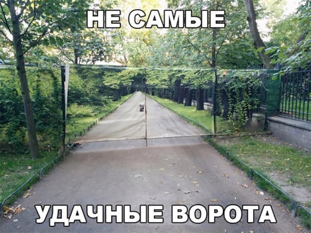 Немного картинок в этот четверг