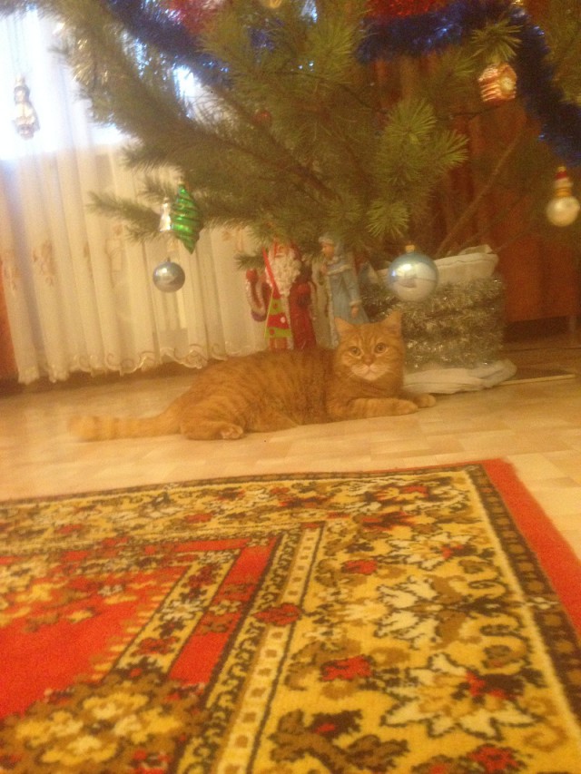 Ну ладно, двуногий ублюдок, тебе удалось немного отсрочить предначертанное