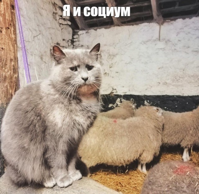 Подборка интересных и веселых картинок 29.04.19