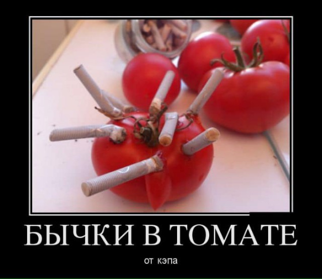 Подборка весёлых картинок