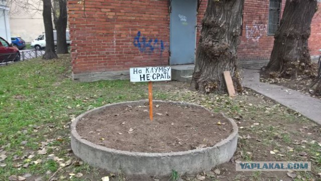 Разные картинки