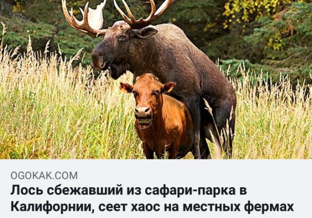 Немного картинок с надписями и без - 9
