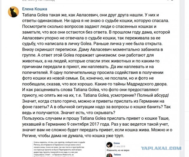 Помогите вернуть кота! Приют "Преданное сердце" украл кота и не отдает!-2