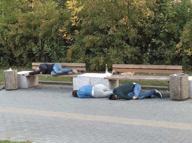 Скотсети и прочие интернеты 25.08.2020