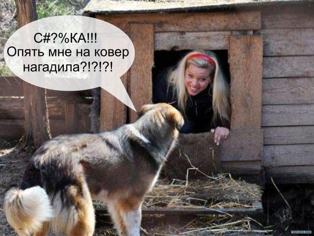 Фотожаба: Собака с Девушкой