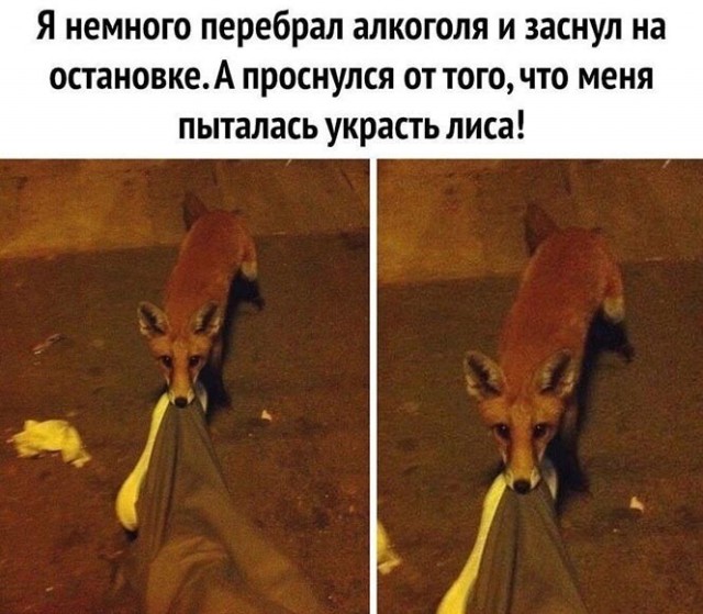 Алкопост 06.03.21