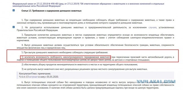 Неадекватный собаковод