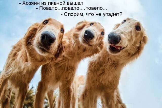 Алкопост 19.06.21
