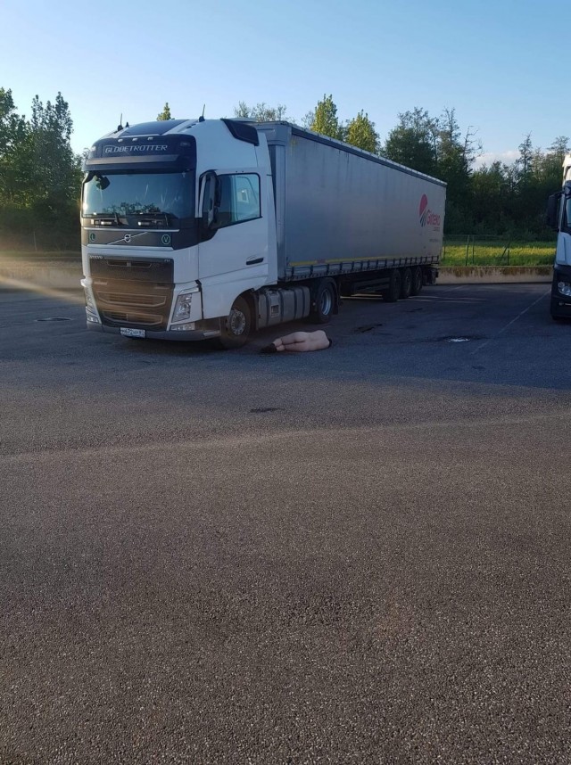 Твари