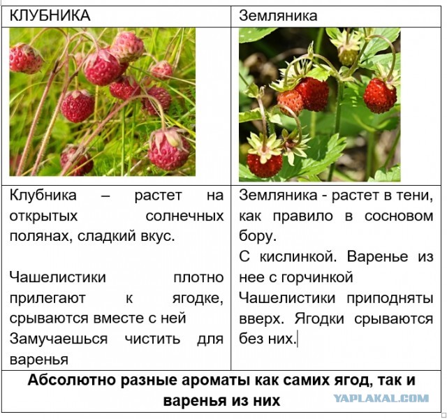 А может вы не знали...