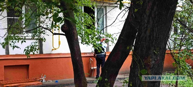 В Измайловском парке неизвестные начали издеваться над женщиной и распылили ей в лицо перцовый баллончик