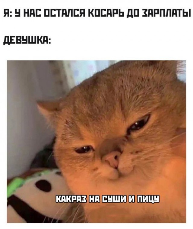 Картинки и мемы, всем прекрасных выходных