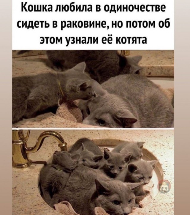 Так себе картинки 14.10.21