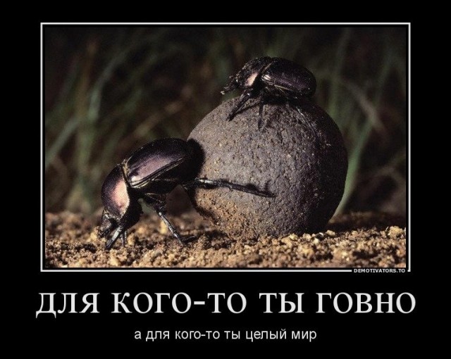 ТруЪ демотиваторы