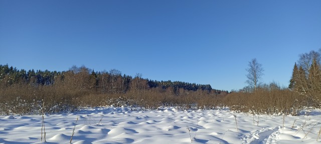 Не корона, не куркод, не казахи. Глянь на снежную сказку