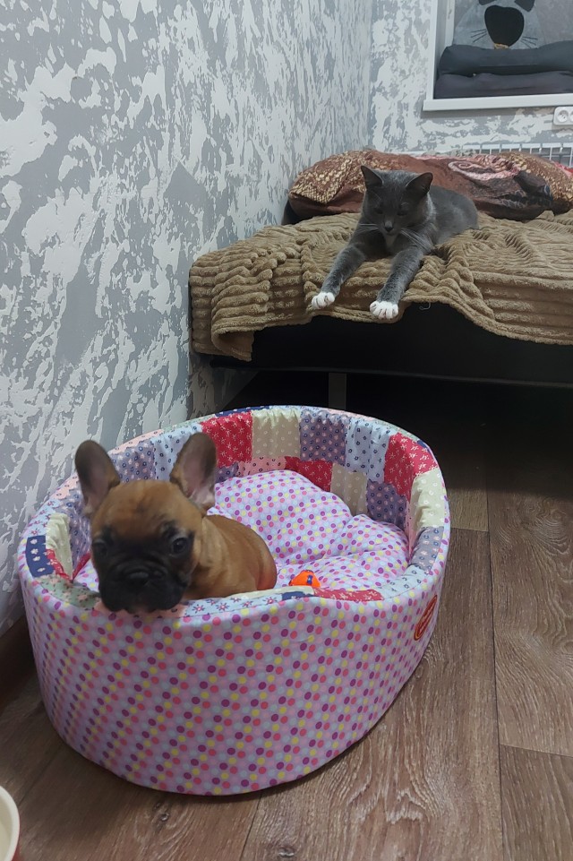 А у нас счастье невиданного масштаба