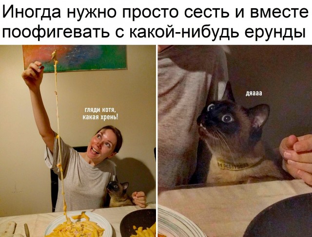 Так себе картинки 27.04.22