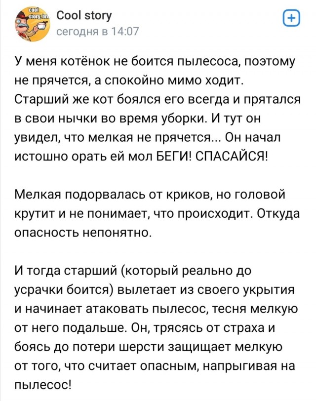 Две миски корма этому господину!