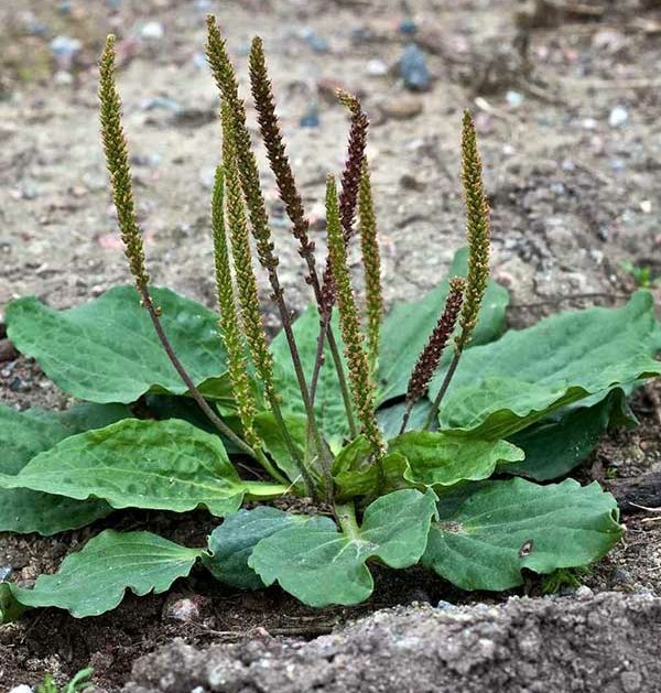 Так себе картинки 06.06.22