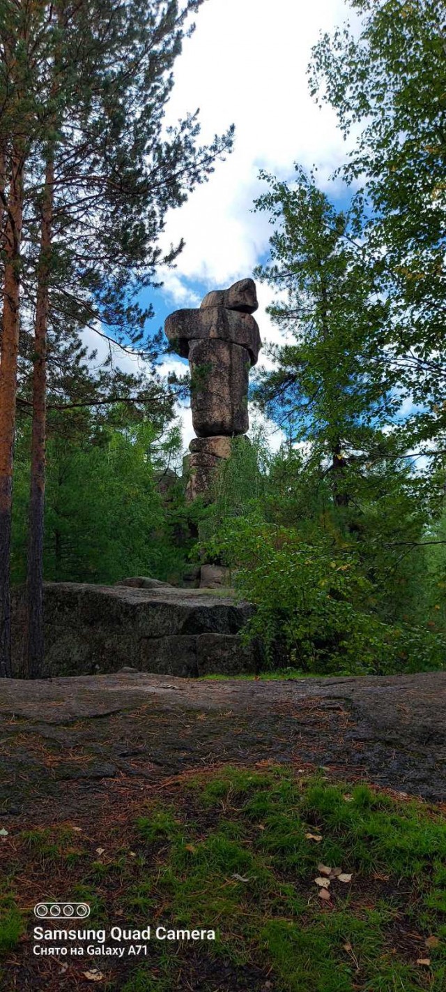 Для ценителей лесов (лесные пейзажи)