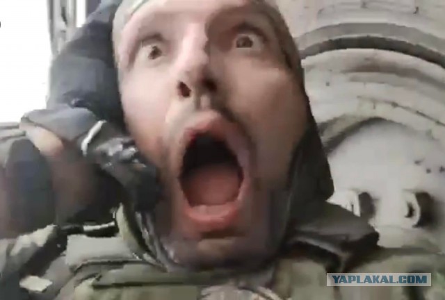 Милонов опубликовал фото в «полной боевой готовности»