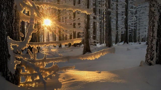 Прикольные и просто красивые картинки 29.11.2022