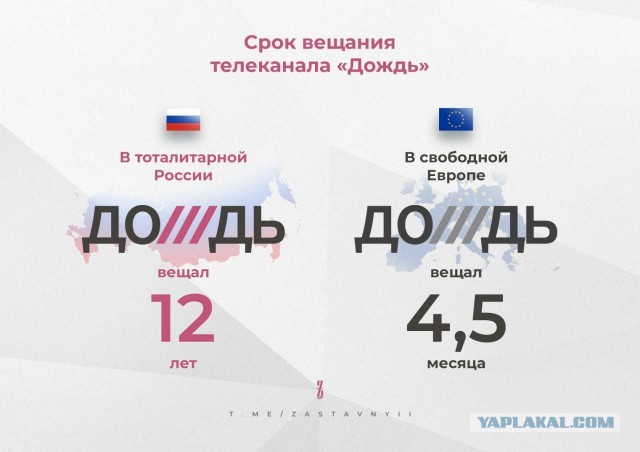 МВД объявило в федеральный розыск блогера Камикадзе Ди