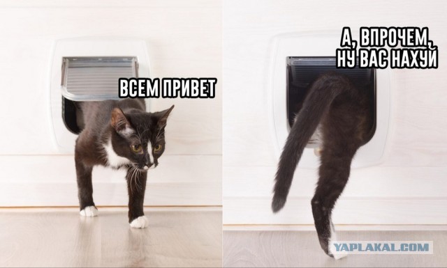 Женщина обязана быть кухаркой, даже если работает