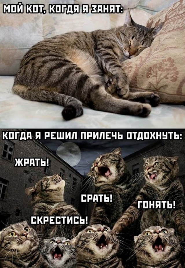 Немного картинок для настроения - 135