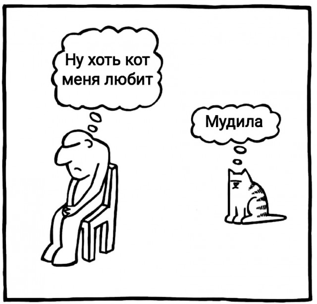 Немного картинок для настроения 07.03.2023