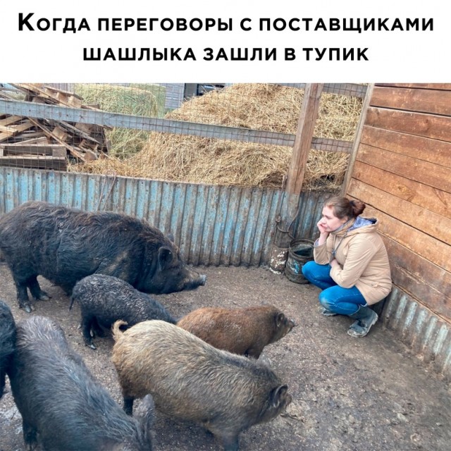 Картинки и мемы, всяко разно - 179