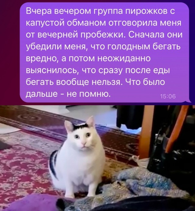 Весёлый полтишок 11.08.23