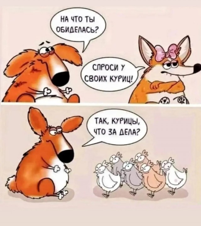 Картинки от Scodero 4