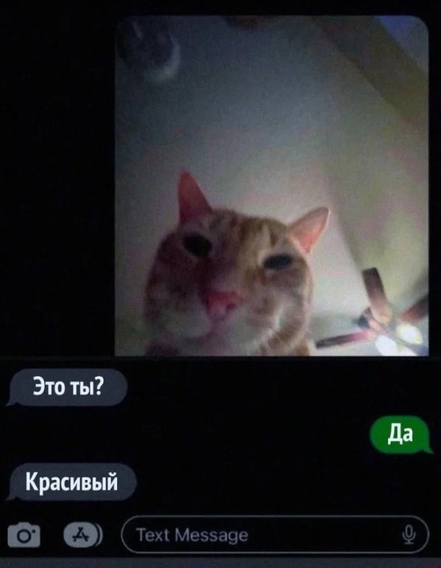 Приколы с налетом деградации