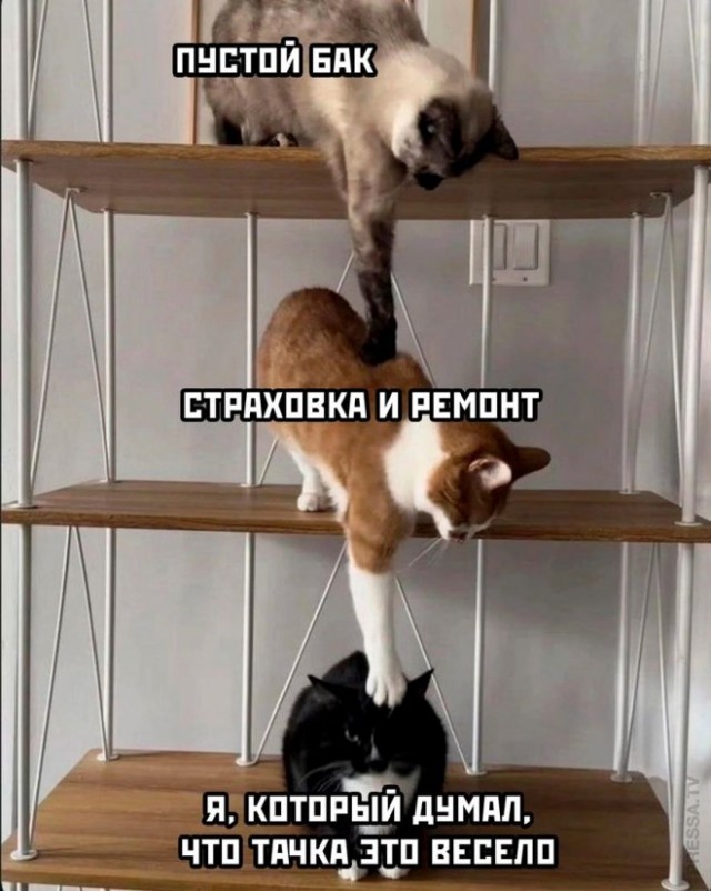 Всего понемногу. От 04.03.24