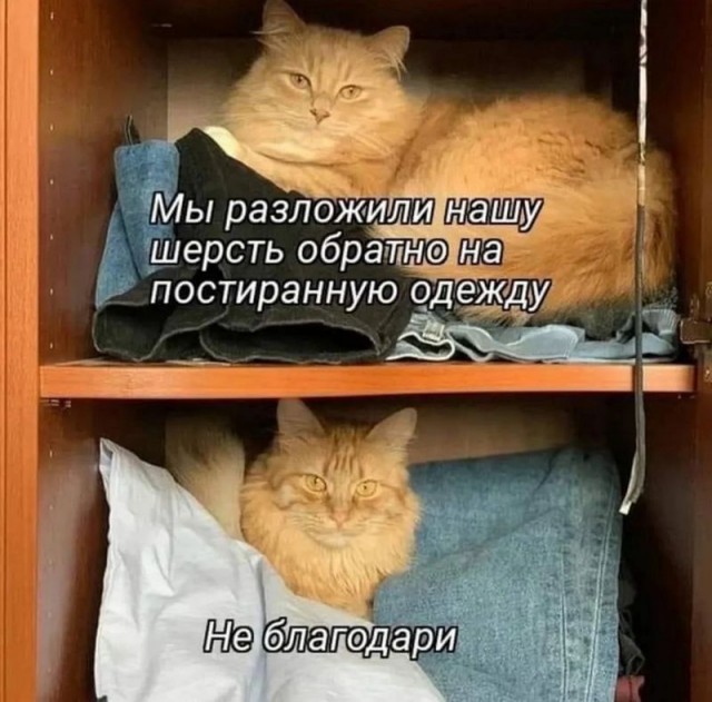 Завалялось тут случайно немного забавных картинок