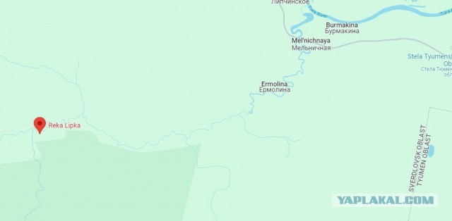 В Свердловской области дед потерял двоих внуков в лесу и пришел домой